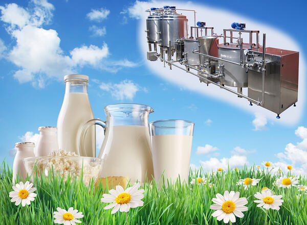 Бизнес по переработке молока: расчет прибыльности и окупаемости